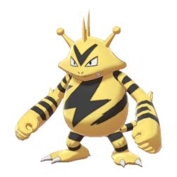 electabuzz egg group.